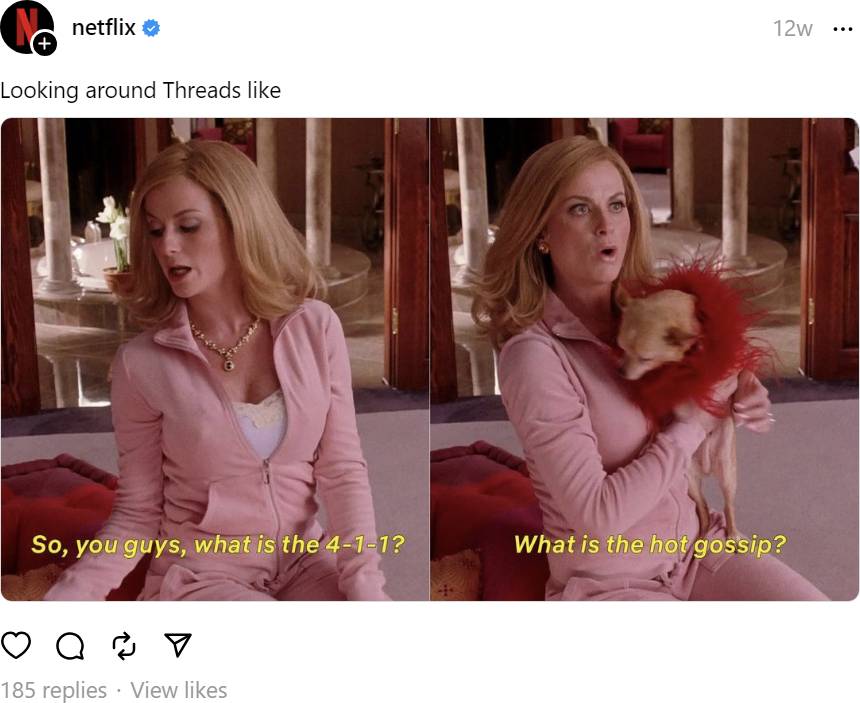 Meme from Mean Girls movie stating "so, you guys, what is the 4-1-1? What is the hot gossip?"